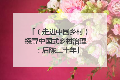 （走进中国乡村）探寻中国式乡村治理：后陈二十年