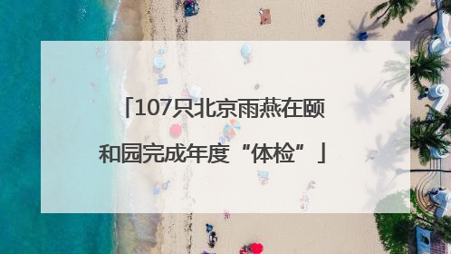 107只北京雨燕在颐和园完成年度“体检”
