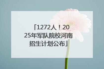 1272人！2025年军队院校河南招生计划公布