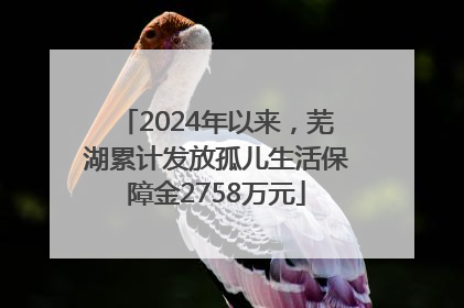2024年以来，芜湖累计发放孤儿生活保障金2758万元