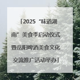 2025“味道湖南”美食季启动仪式暨岳阳啤酒美食文化交流推广活动举办