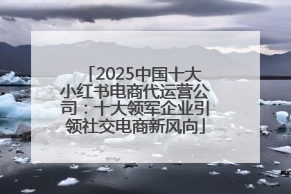 2025中国十大小红书电商代运营公司：十大领军企业引领社交电商新风向