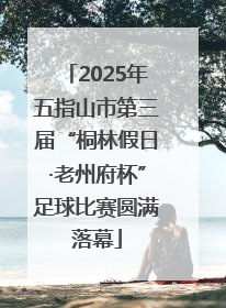 2025年五指山市第三届“桐林假日·老州府杯”足球比赛圆满落幕