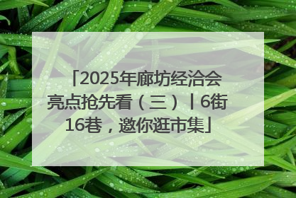 2025年廊坊经洽会亮点抢先看（三）丨6街16巷，邀你逛市集
