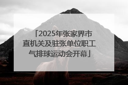 2025年张家界市直机关及驻张单位职工气排球运动会开幕