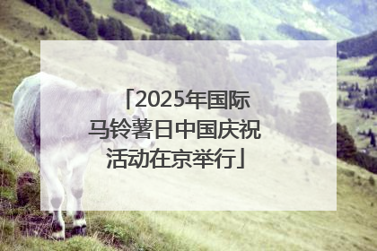 2025年国际马铃薯日中国庆祝活动在京举行
