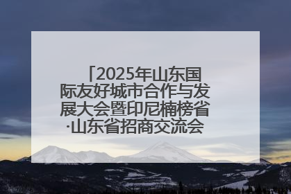 2025年山东国际友好城市合作与发展大会暨印尼楠榜省·山东省招商交流会在济南槐荫举行
