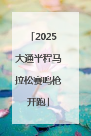 2025大通半程马拉松赛鸣枪开跑
