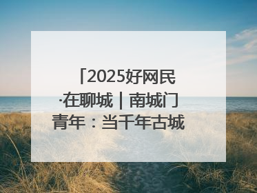 2025好网民·在聊城｜南城门青年：当千年古城遇见青春歌谣 一湖碧水见证的“聊城式浪漫”