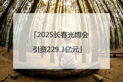 2025长春光博会引资229.3亿元