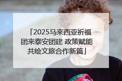 2025马来西亚祈福团来泰安团建 政策赋能共绘文旅合作新篇