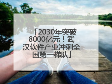 2030年突破8000亿元！武汉软件产业冲刺全国第一梯队