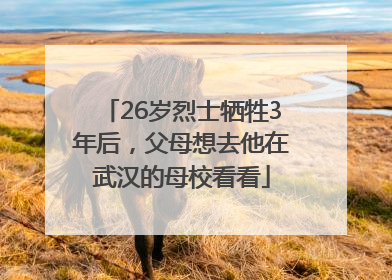 26岁烈士牺牲3年后，父母想去他在武汉的母校看看