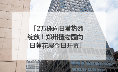 2万株向日葵热烈绽放！郑州植物园向日葵花展今日开幕