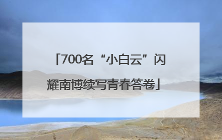 700名“小白云”闪耀南博续写青春答卷