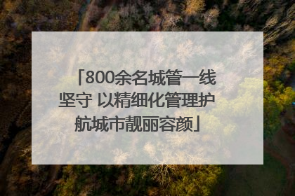800余名城管一线坚守 以精细化管理护航城市靓丽容颜