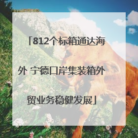 812个标箱通达海外 宁德口岸集装箱外贸业务稳健发展