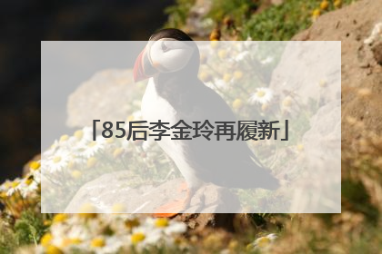 85后李金玲再履新