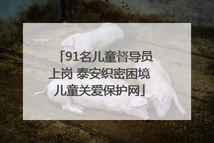 91名儿童督导员上岗 泰安织密困境儿童关爱保护网