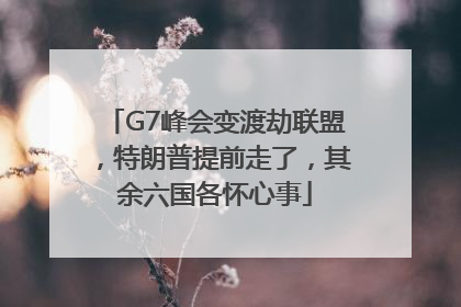 G7峰会变渡劫联盟，特朗普提前走了，其余六国各怀心事