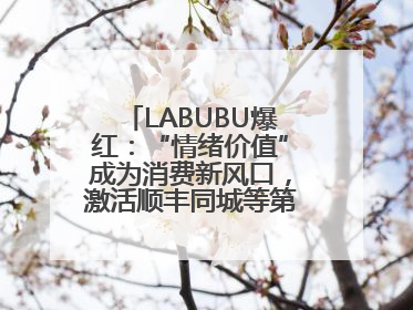 LABUBU爆红：“情绪价值”成为消费新风口，激活顺丰同城等第三方即配