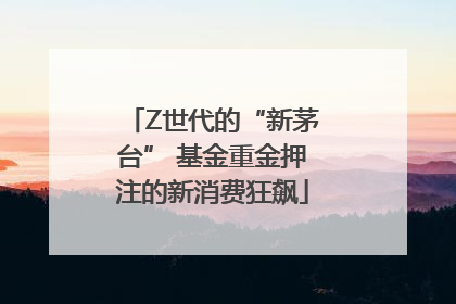 Z世代的“新茅台” 基金重金押注的新消费狂飙